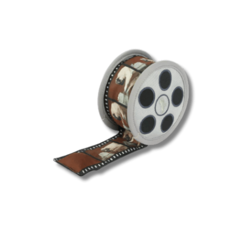 PLAY - Hollywoof Cinema Collection - 15pc POS Display