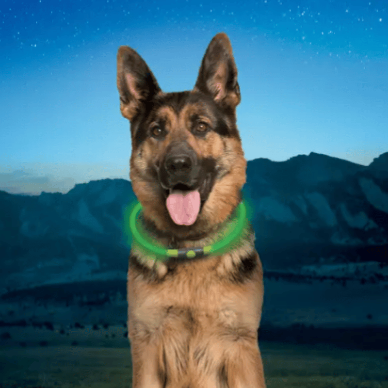 NITE IZE - NiteHowl Rechargeable - LED Safety Necklace