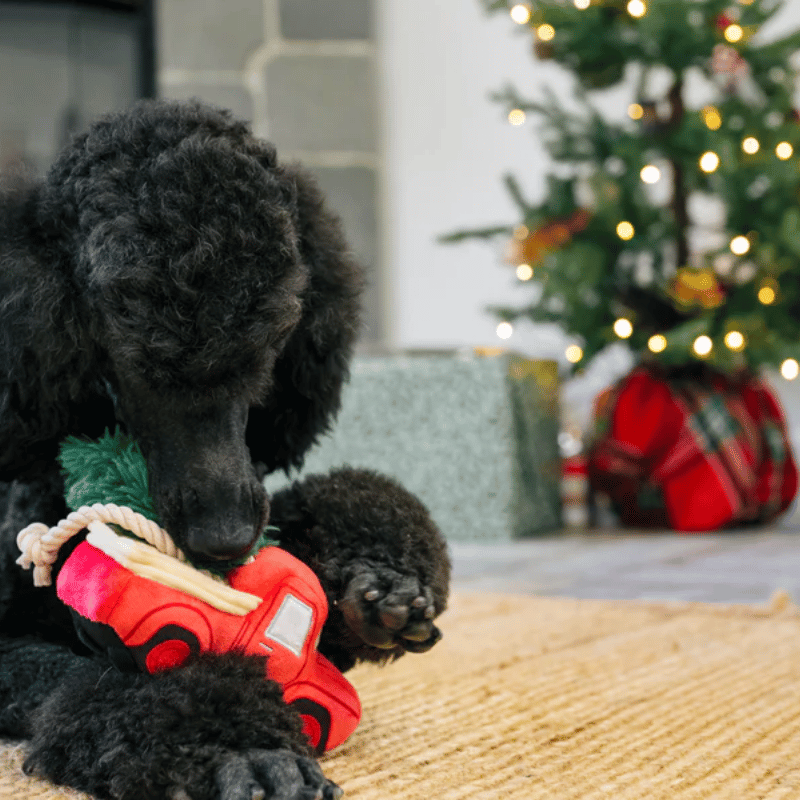 PLAY - Home For The Holidays - Holiday Hauler
