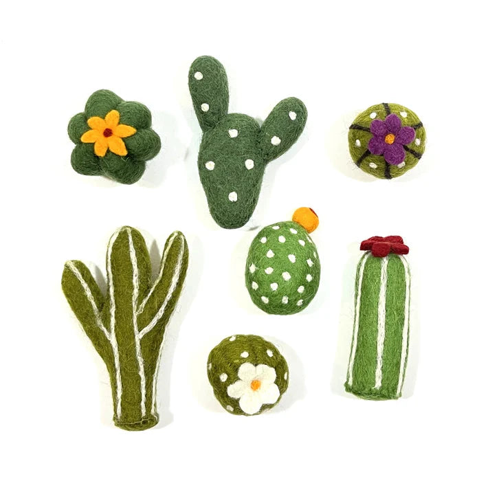 Dharma Dog Karma Cat - Toy - Succulents - 60ct Display