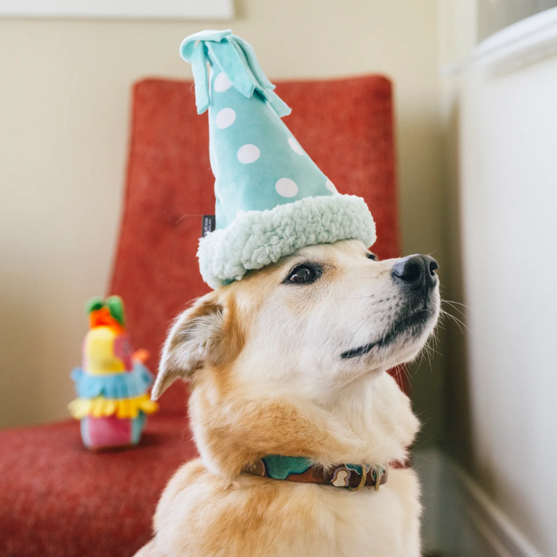 PLAY - Party Animal - Party Hat