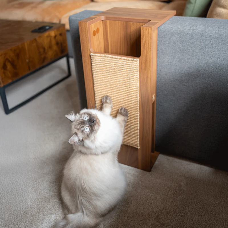 4 Cats & Dogs - Jewl - nesting table + scratcher