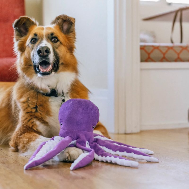 PLAY - Ocean Buddies - Octopus - Large