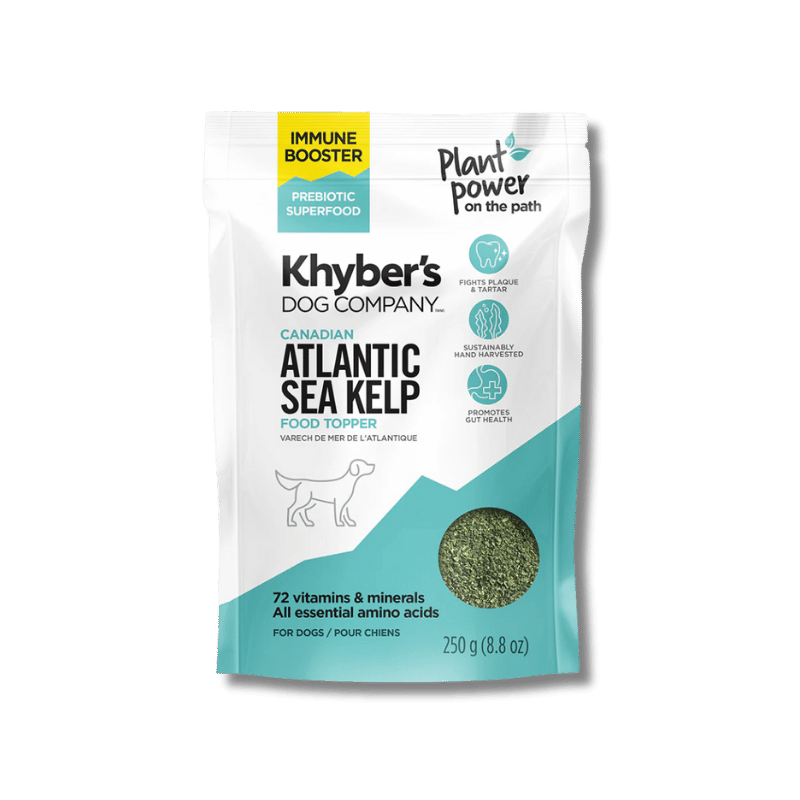 Khyber's - Supplement - Atlantic Sea Kelp - Immune Booster - 250g
