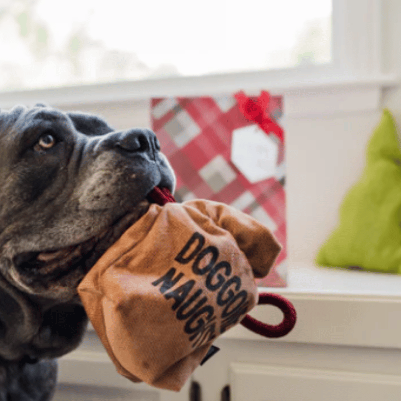PLAY - Home For The Holidays - Fur-ever Naguhty