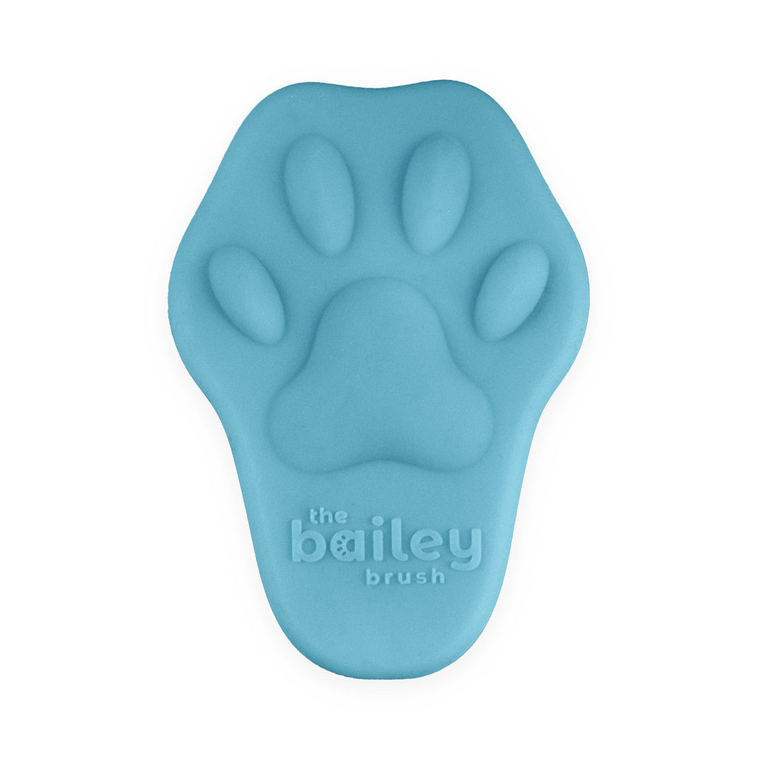 Bailey Brush - Brush - Cat - Meowy Blue