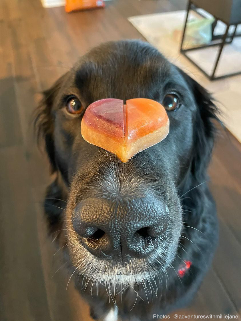 Messy Mutts - Treat Maker - Bake & Freeze - Silicone - Heart 2Pk