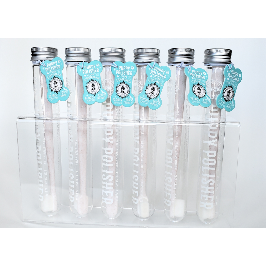 Wag & Bright - Toothbrush Display - Empty