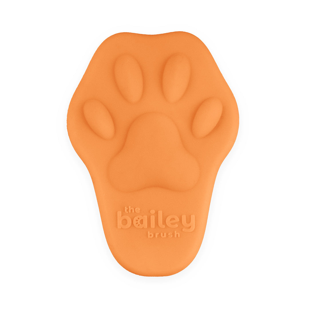Bailey Brush - Brush - Cat - Pawpaya Orange