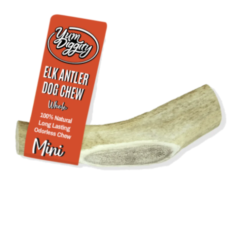 Yum Diggity - Whole Elk Antler Chew