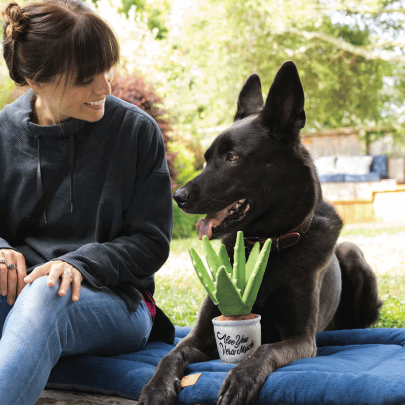 PLAY - Blooming Buddies - Aloe-ve You Plant