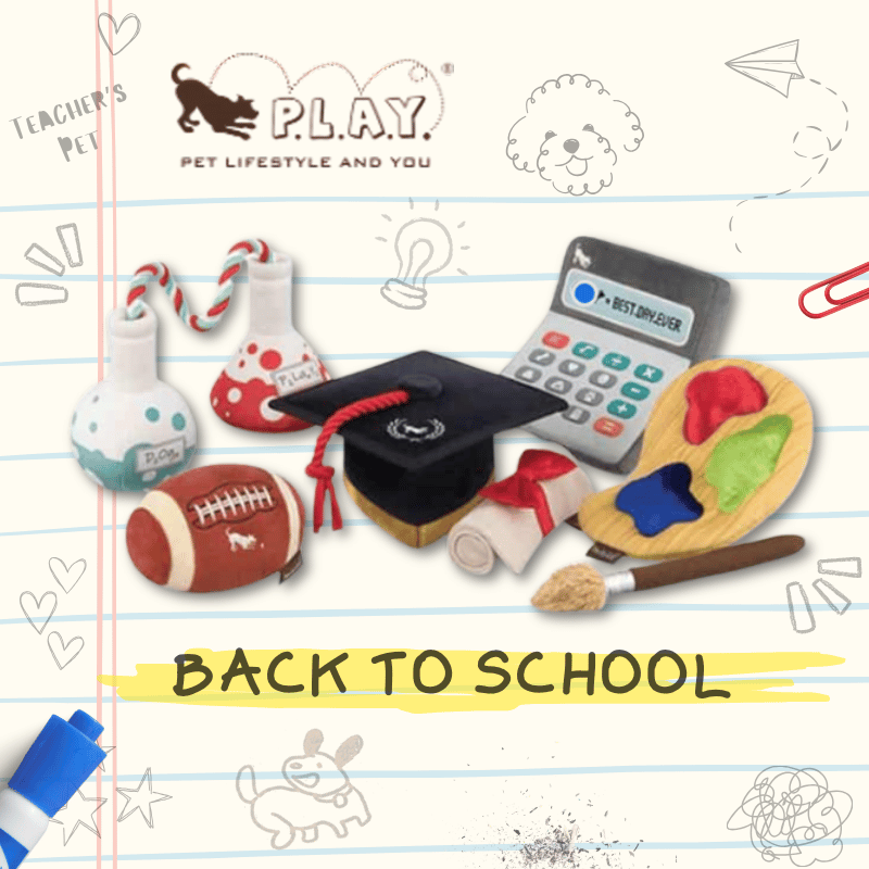 PLAY - Back To School -Grad Hat & Scroll