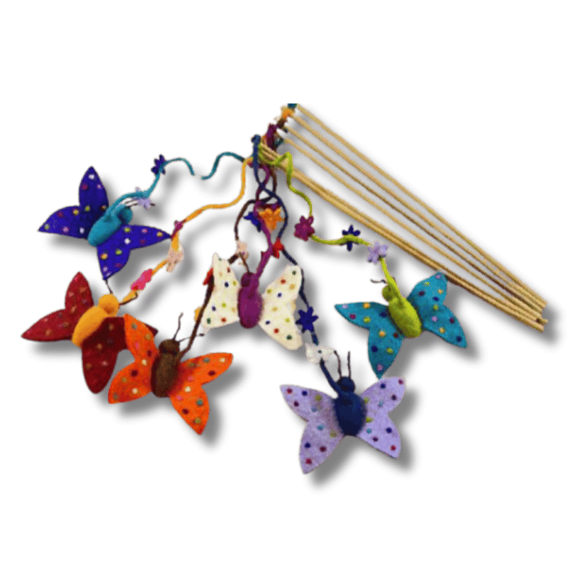 Dharma Dog Karma Cat - Teasers - Butterfly