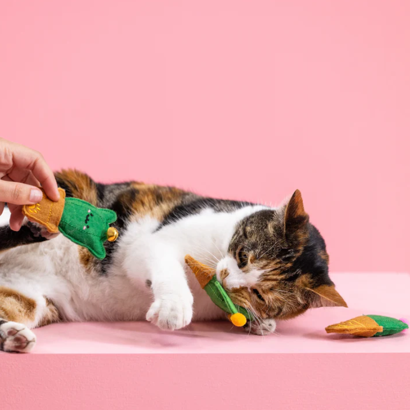 Fringe Studio - Cat-Us Friends Cat Toy - Set of 3