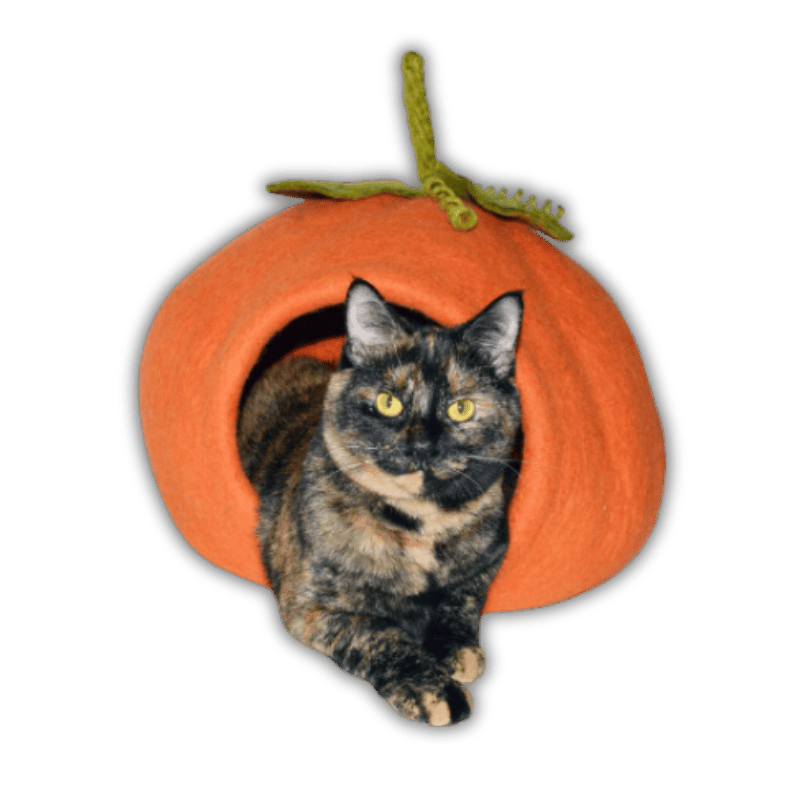 Dharma Dog Karma Cat - Cave - Pumpkin - Orange