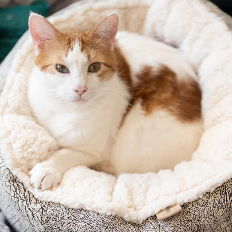 PLAY - Bed - Cat - Cuddler