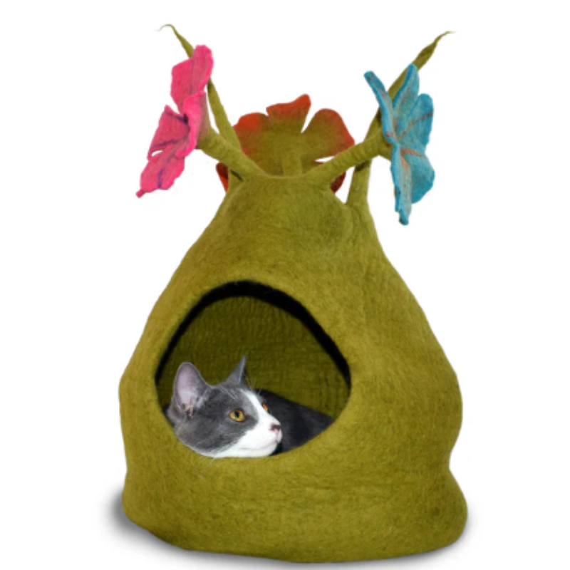 Dharma Dog Karma Cat - Cave - Bouquet