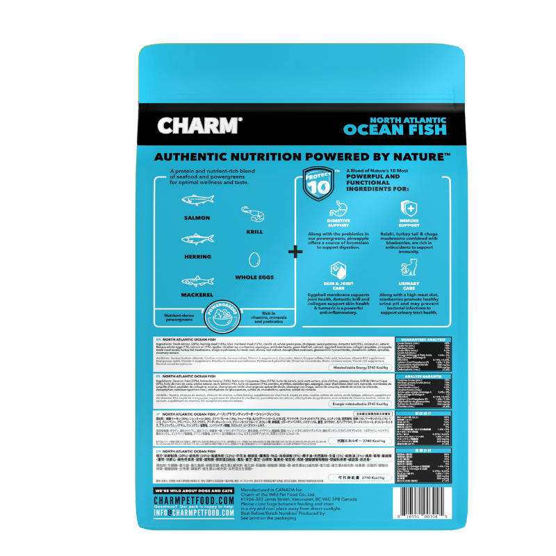 Charm - Cat - North Atlantic Ocean Fish