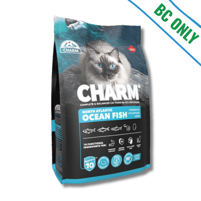 Charm - Cat - North Atlantic Ocean Fish