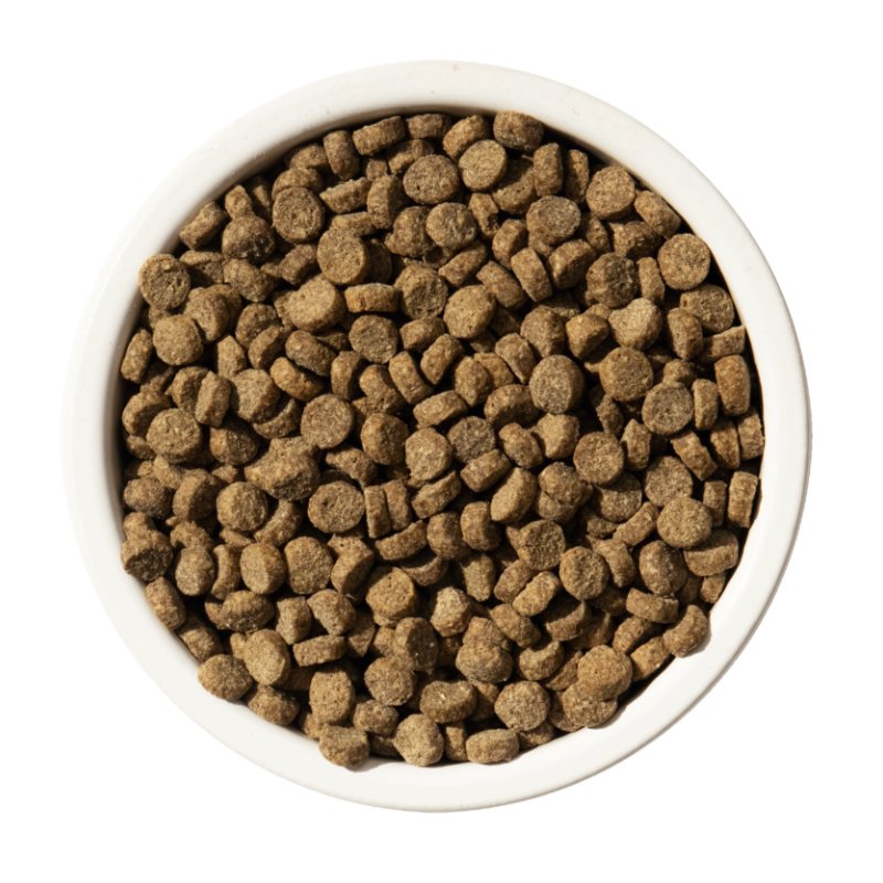 BIXBI - Cat - Dry - Rawbble - Chicken - Digestive Health - 3lb