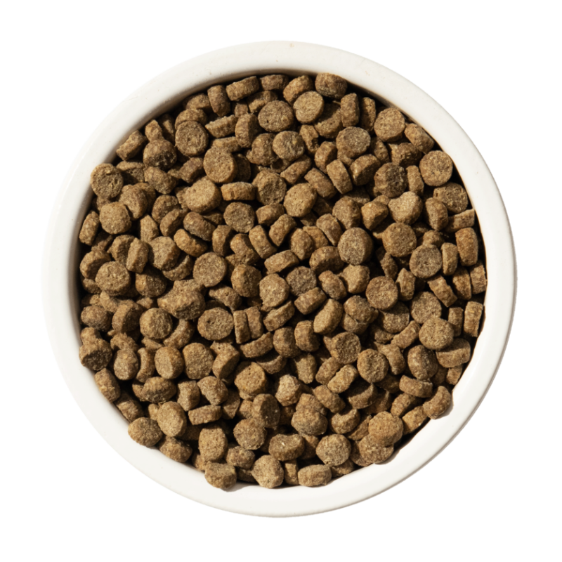 BIXBI - Cat - Dry - Rawbble - Chicken & Salmon - Indoor Cat Health - 3lb