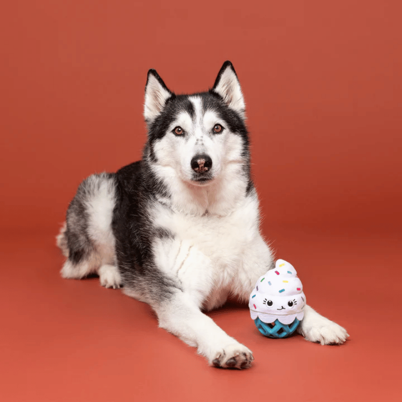 Fringe Studio - Dog - Toy - Durable - Rubber - Dura Club - Here For The Cupcakes