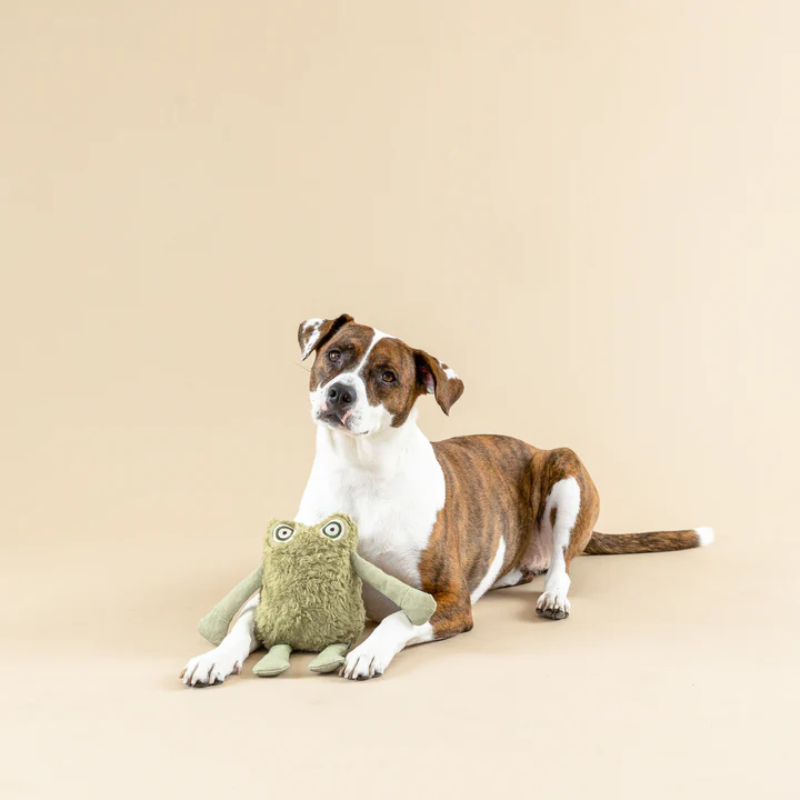 Fringe Studio - Dog - Toy - Earth Freindly - I Jump Around 3D