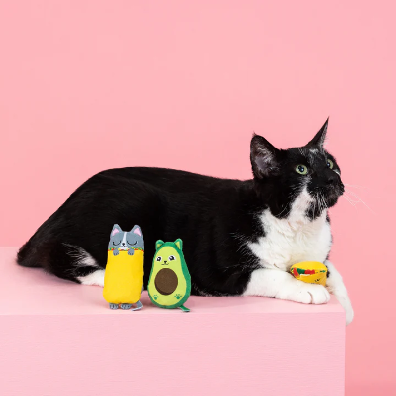 Fringe Studio - Kitty Cravings Cat Toy - Set of 3