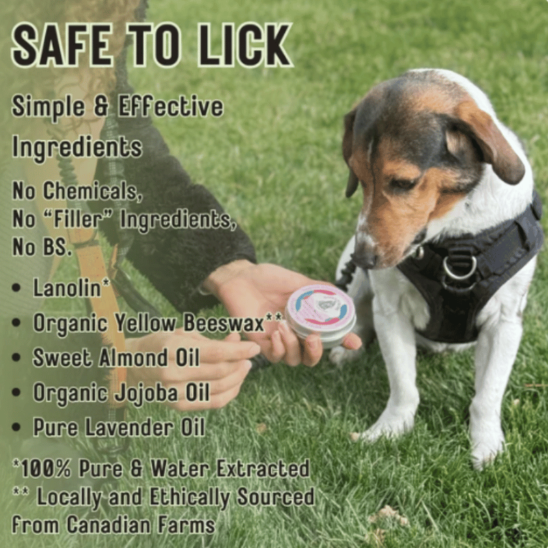 Barks & Boops - Barrier Booster- Lavender - Tin - 50g