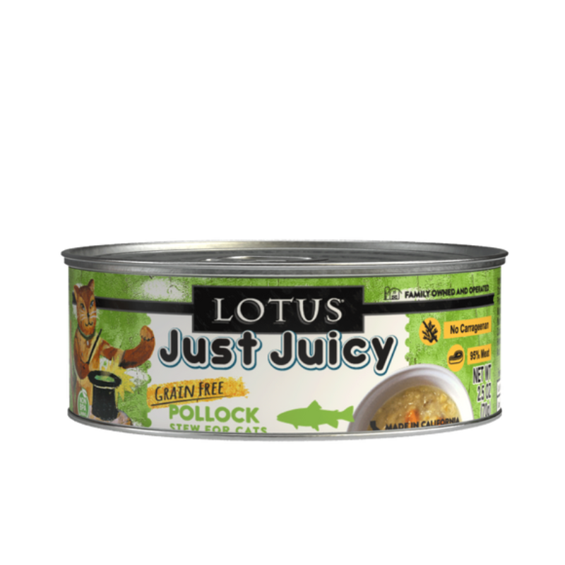 Lotus - Cat - Just Juicy - Pollock - 5.3oz