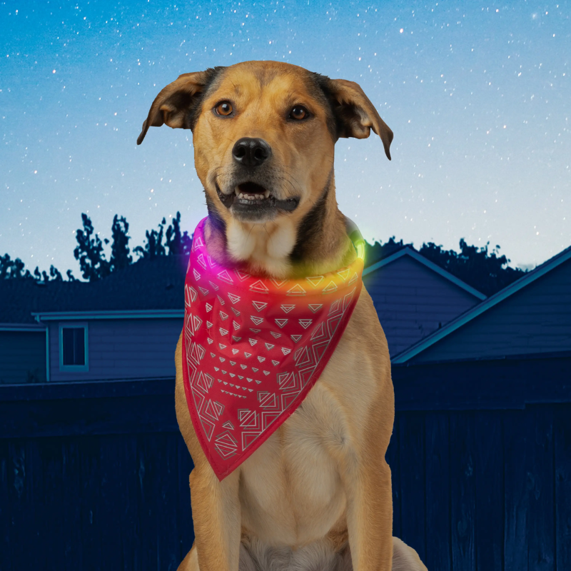 NITE IZE NiteHowl Bandana Rechargeable LED Safety Necklace Disc O