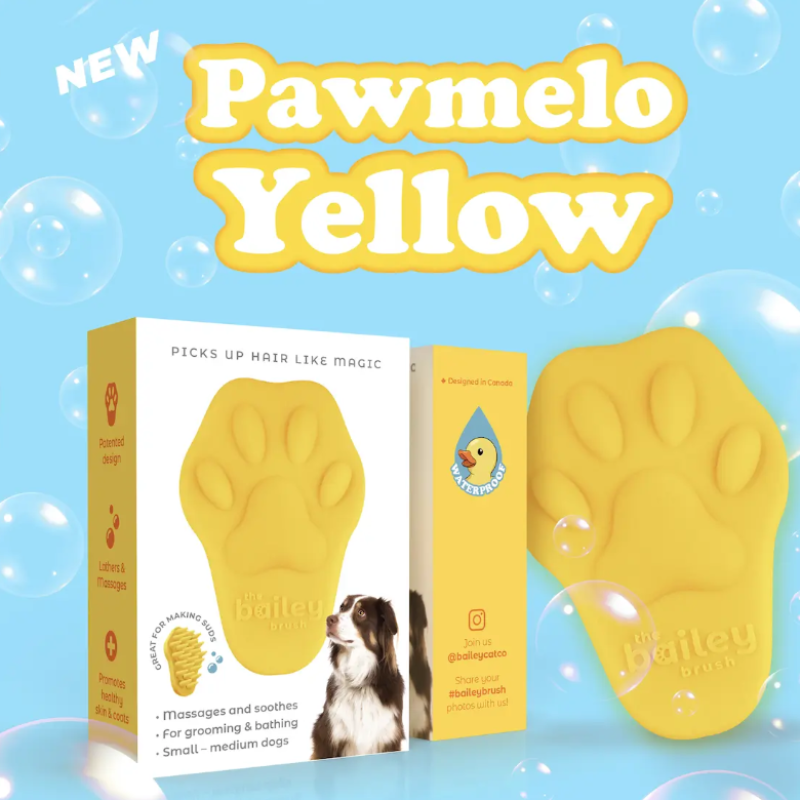 Bailey Brush - Brush - Dog - Pawmelo Yellow