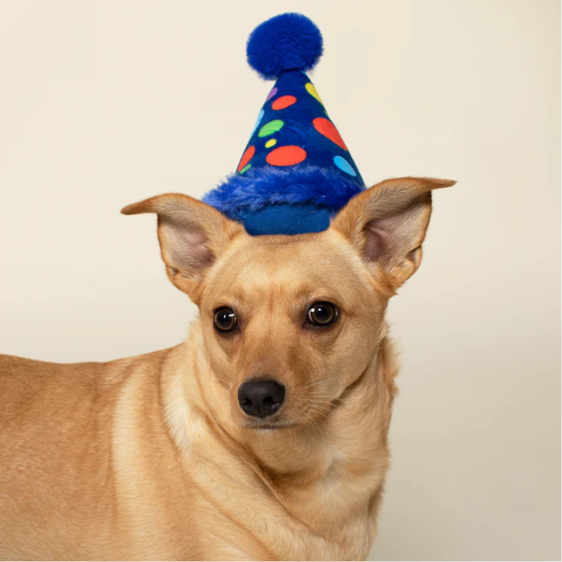 Fringe Studio - Dog - Toy - Birthday - Plush - Party Hat