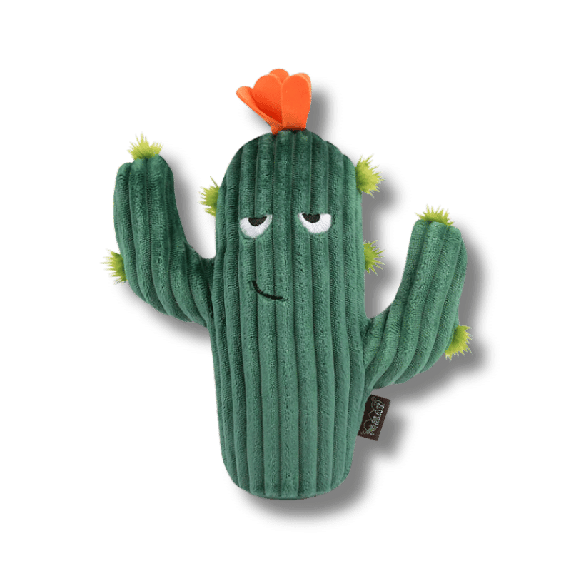 PLAY - Blooming Buddies - Prickly Pup Cactus