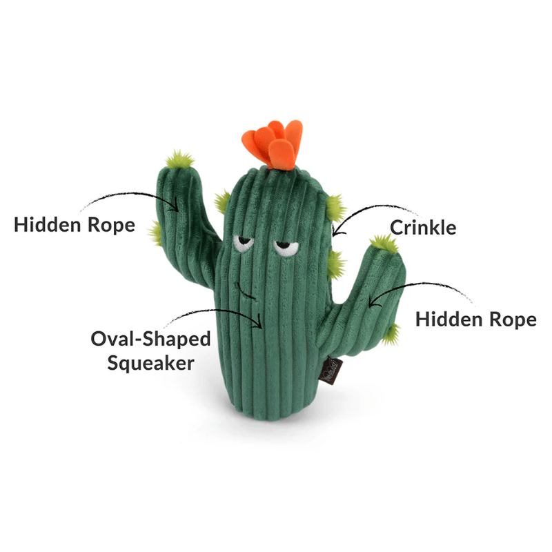 PLAY - Blooming Buddies - Prickly Pup Cactus