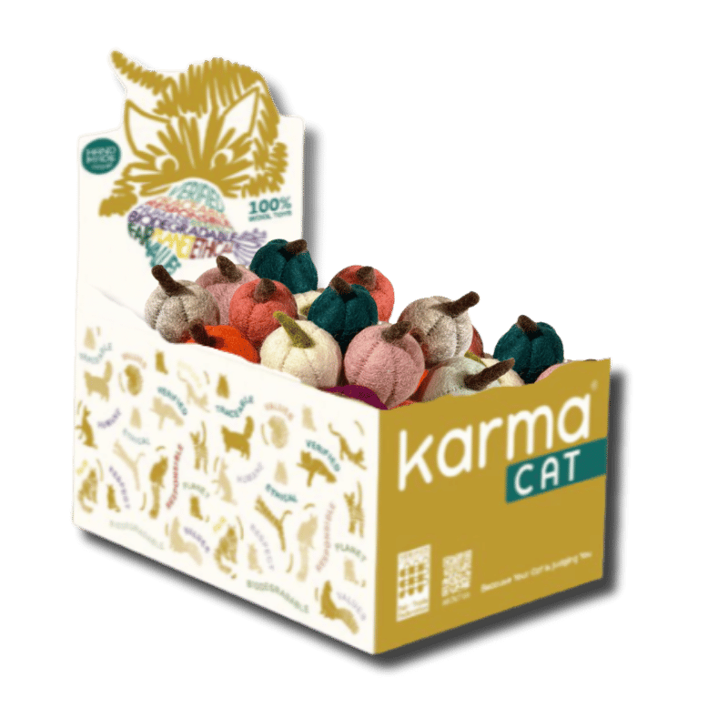 Dharma Dog Karma Cat - Toy - Pumpkins - 60ct Display