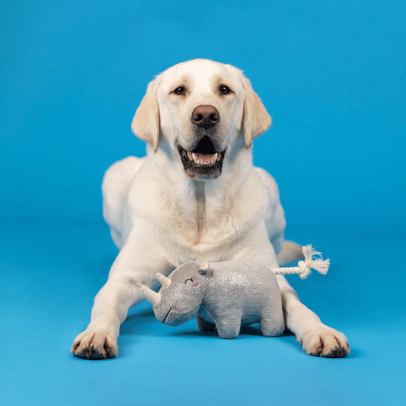 Fringe Studio - Dog - Toy - Plush - Rhino You Want Me