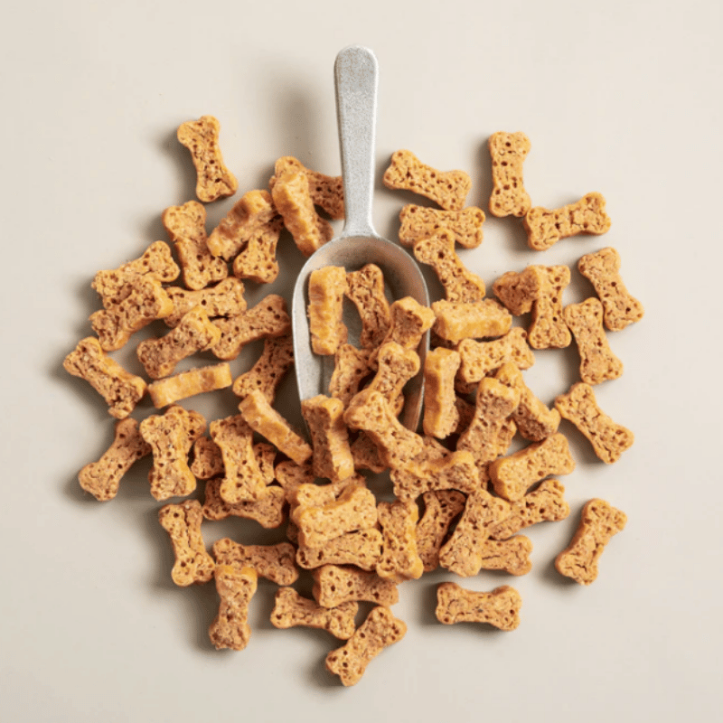 polkadog - Salmon Says - Bones - 7oz