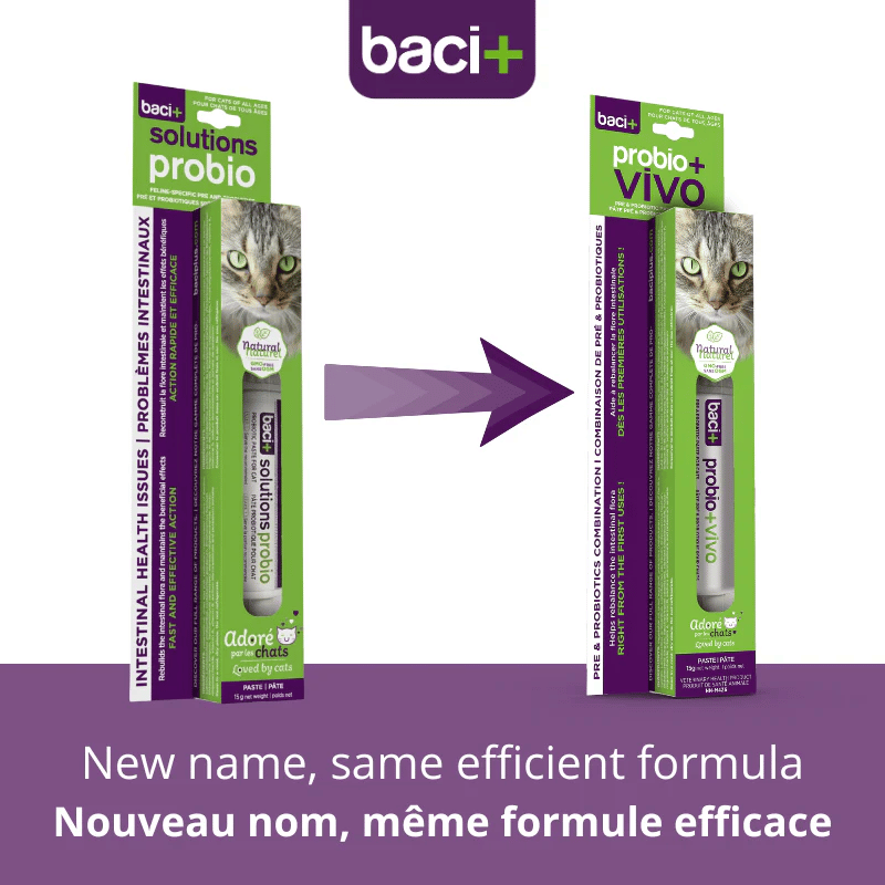 Baci+- Probio+ VIVO - Cat (Probiotic Paste) 15g
