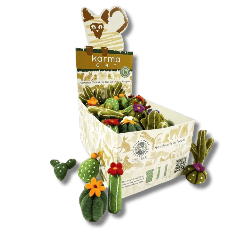 Dharma Dog Karma Cat - Toy - Succulents - 60ct Display