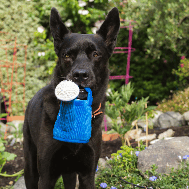 PLAY - Blooming Buddies - Wagging Watering Can