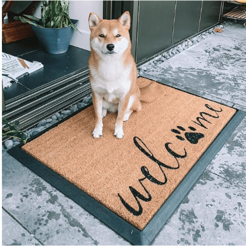 4 Cats & Dogs - Convertible Mat - Welcome & Paw (Frame Included)