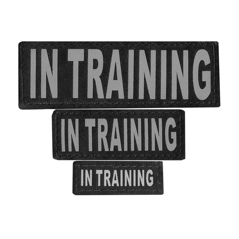 DOGLINE - In Training Patch