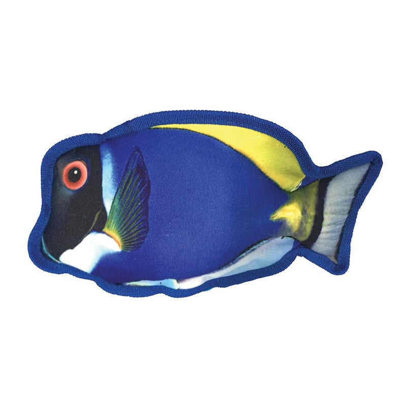 DOGLINE - Tropical Blue Tang