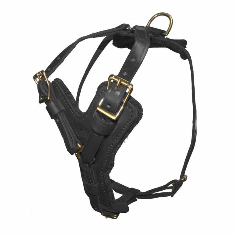 DOGLINE - Harness - Leather - Typhoon - Working