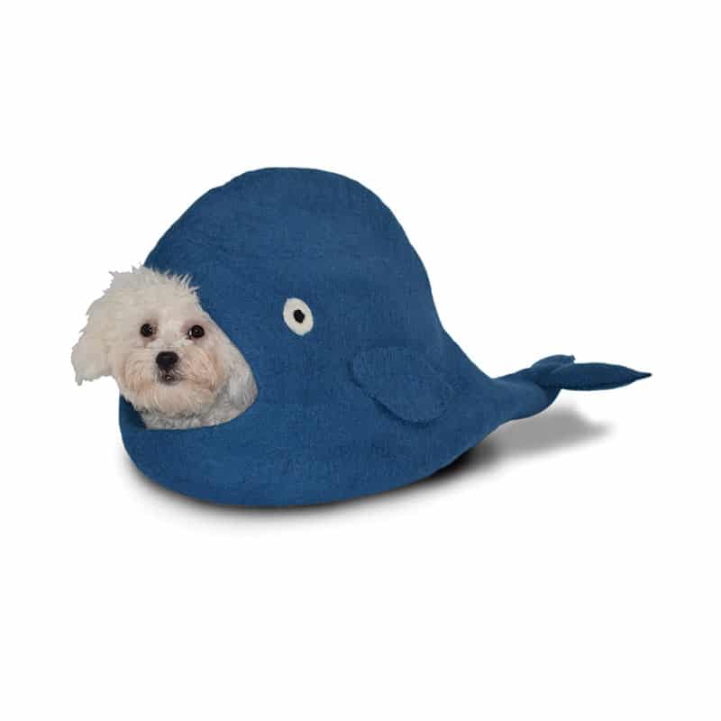 Dharma Dog Karma Cat - Cave - Whale - Blue