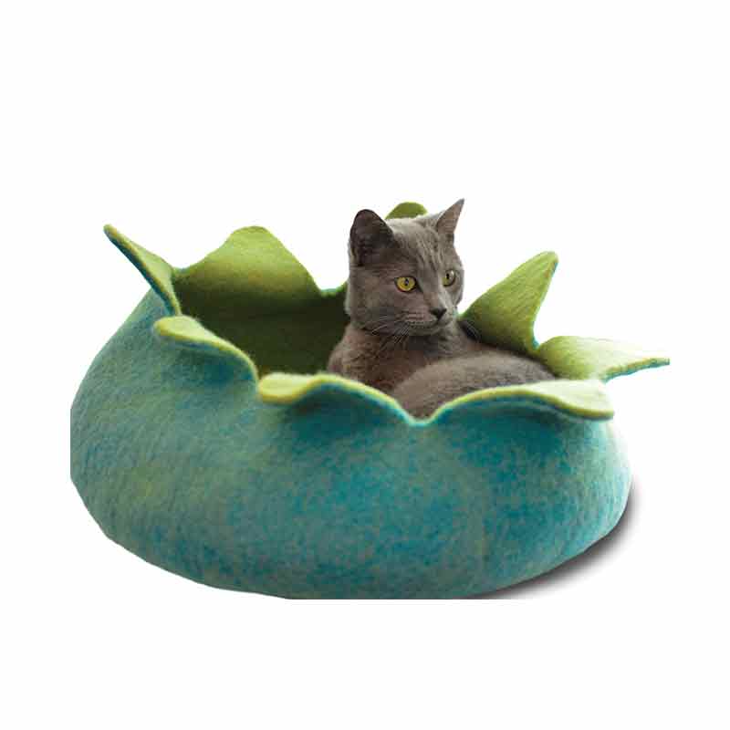Dharma Dog Karma Cat - Basket - 20" Petals