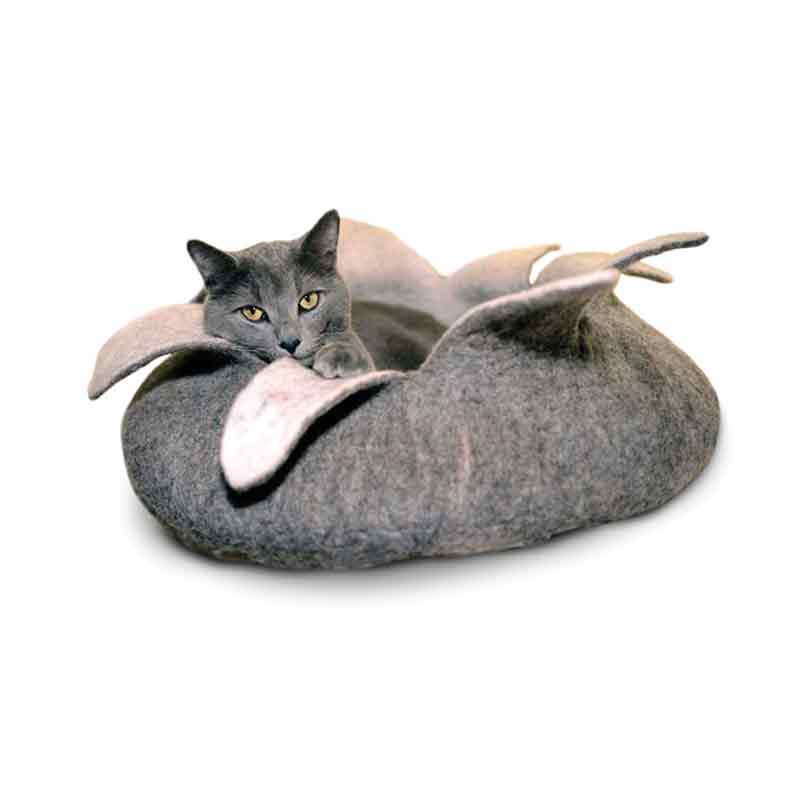 Dharma Dog Karma Cat - Basket - 20" Petals