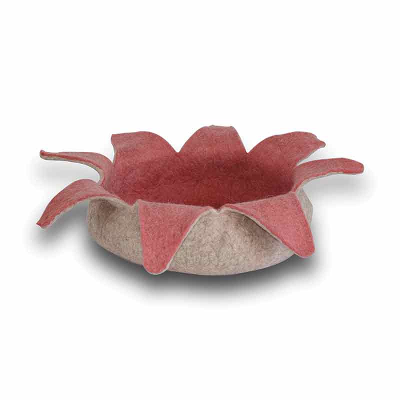 Dharma Dog Karma Cat - Basket - 14" Petals