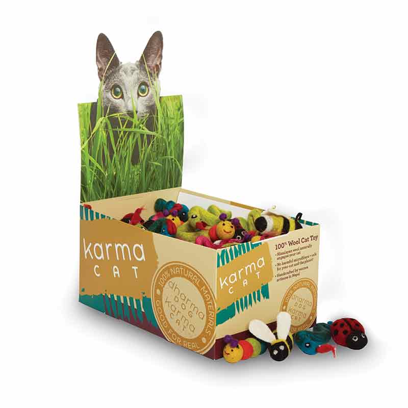Dharma Dog Karma Cat - Toy - Backyard - 60ct Display